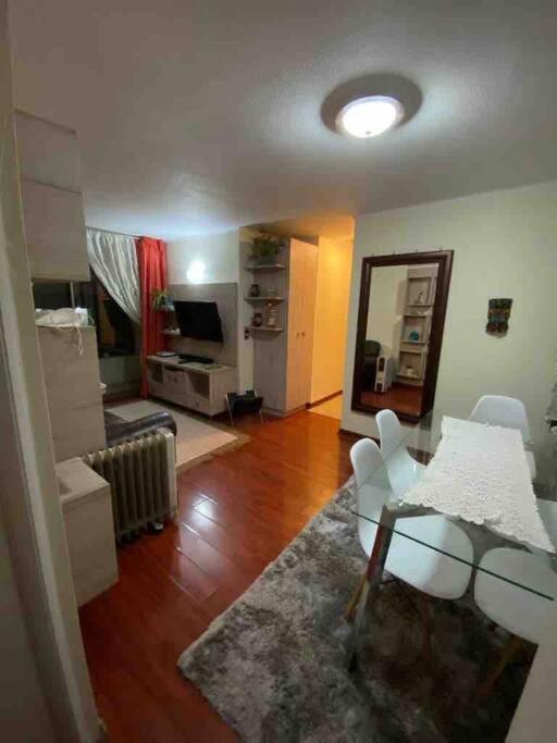 Comodo Departamento En El Centro De Stgo Διαμέρισμα Σαντιάγκο Εξωτερικό φωτογραφία